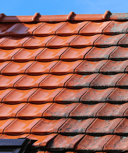 Roof clean in progress