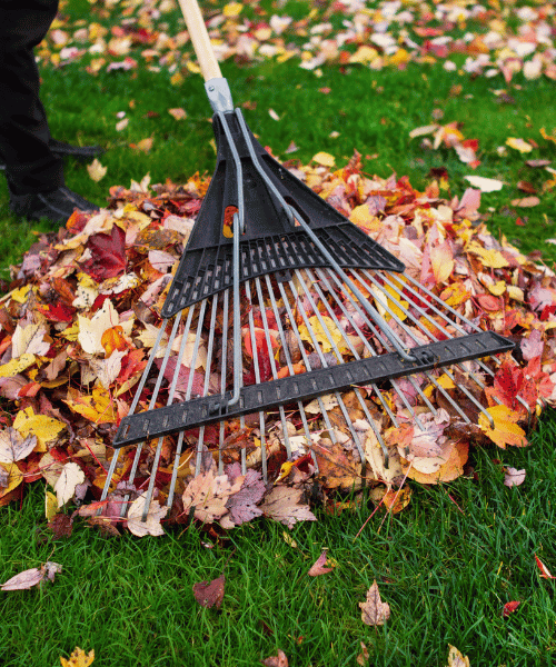 Tidy up leaves in a garden